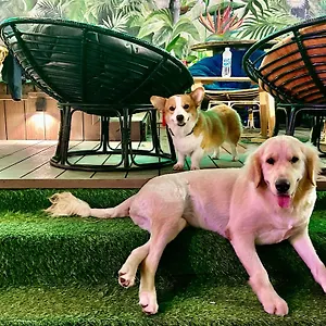  Hostel Rom Casa Vietnam